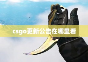 csgo更新公告在哪里看