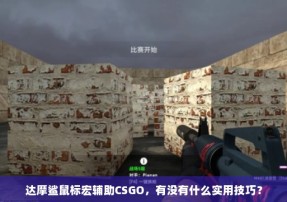 达摩鲨鼠标宏辅助CSGO，有没有什么实用技巧？