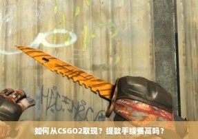 如何从CSGO2取现？提款手续费高吗？