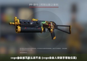 csgo自由练习怎么进不去 (csgo自由人突破手等各位置)