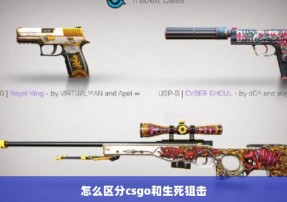 怎么区分csgo和生死狙击