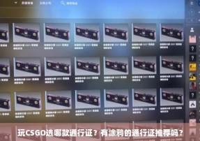 玩CSGO选哪款通行证？有涂鸦的通行证推荐吗？