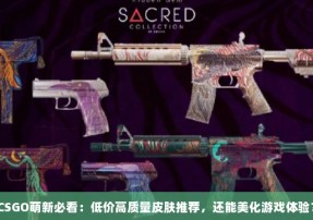 CSGO萌新必看：低价高质量皮肤推荐，还能美化游戏体验？