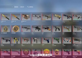 csgo2露胳膊源代码