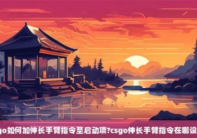 csgo如何加伸长手臂指令至启动项?csgo伸长手臂指令在哪设置?