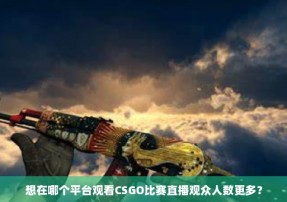 想在哪个平台观看CSGO比赛直播观众人数更多？