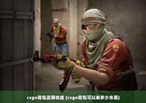 csgo背包武器加成 (csgo背包可以装多少东西)