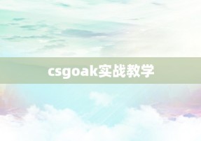 csgoak实战教学