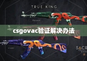 csgovac验证解决办法