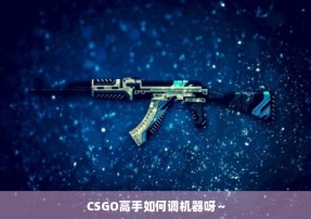 CSGO高手如何调机器呀～