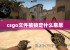 csgo文件被锁定什么意思