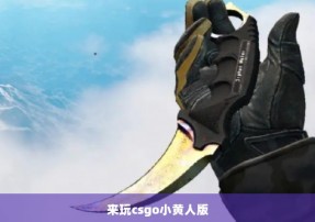 来玩csgo小黄人版