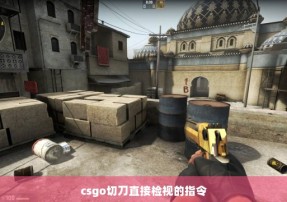 csgo切刀直接检视的指令