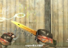 csgo5e怎么才能打