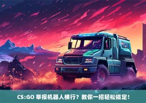 CS:GO 举报机器人横行？教你一招轻松搞定！