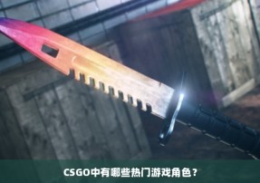 CSGO中有哪些热门游戏角色？