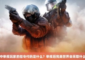 CSGO中举报玩家的指令代码是什么？举报后完美世界会采取什么措施？