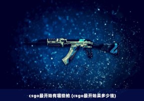 csgo最开始有哪些枪 (csgo最开始卖多少钱)