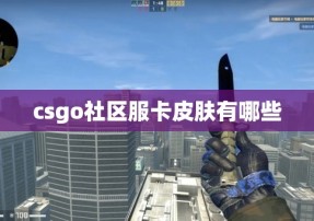 csgo社区服卡皮肤有哪些