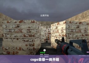 csgo命悬一线开箱