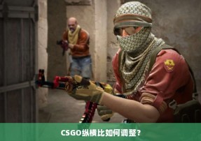 CSGO纵横比如何调整？