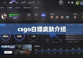 csgo白嫖皮肤介绍