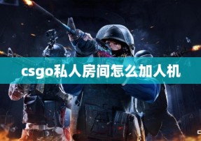 csgo私人房间怎么加人机