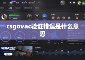 csgovac验证错误是什么意思