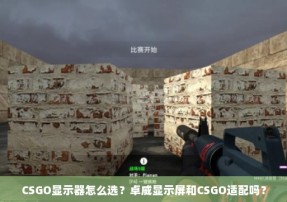 CSGO显示器怎么选？卓威显示屏和CSGO适配吗？