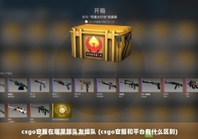 csgo官服在哪里跟队友组队 (csgo官服和平台有什么区别)