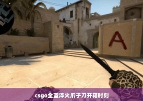 csgo全蓝淬火爪子刀开箱时刻