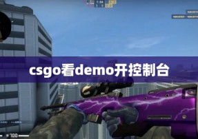 csgo看demo开控制台