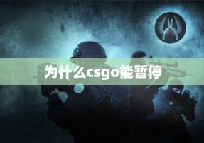 为什么csgo能暂停