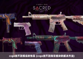 csgo找不到相应的饰品 (csgo找不到指定模块的解决方法)