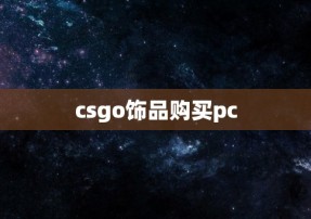 csgo饰品购买pc