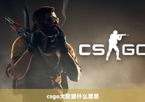 csgo大陀螺什么意思