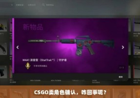 CSGO卖角色确认，咋回事呢？