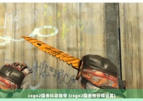 csgo2狙击抖动指令 (csgo2狙击枪开镜设置)