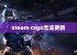 steam csgo无法更新