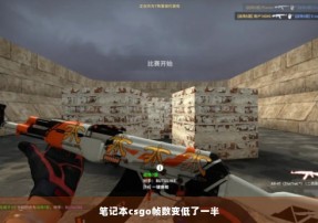 笔记本csgo帧数变低了一半