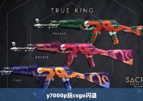 y7000p玩csgo闪退