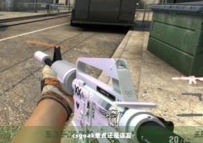 csgoak单点还是连发