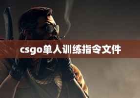 csgo单人训练指令文件