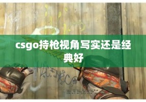 csgo持枪视角写实还是经典好