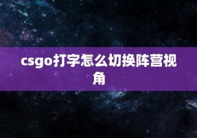 csgo打字怎么切换阵营视角