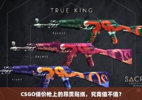 CSGO低价枪上的昂贵贴纸，究竟值不值？