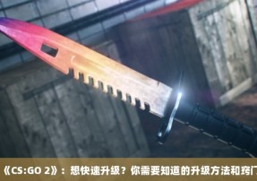 《CS:GO 2》：想快速升级？你需要知道的升级方法和窍门