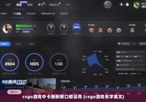 csgo游戏中卡屏删窗口都没用 (csgo游戏名字英文)