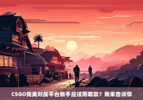 CSGO完美对战平台新手应该用哪款？我来告诉你