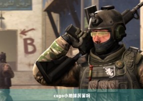 csgo小地球厉害吗